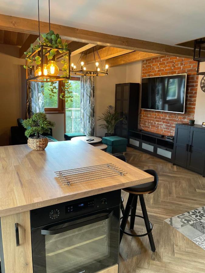 Apartamenty Miejscowka - Apartamenty Z Widokiem Na Gory - Bezplatny Parking Закопане Екстериор снимка